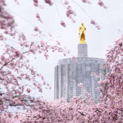 Update: Oregon Bill Proposing Increase of Oregon Estate Tax Exemption to $2.5 Million Passes the Senate